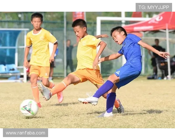 青训帮集锦展现未来之星激情时刻青年才俊闪耀绿茵舞台
